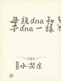 母亲dna和儿子dna一样不