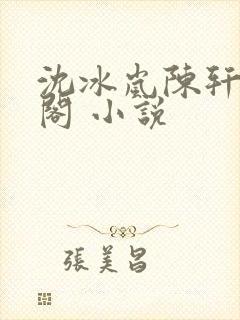 沈冰岚陈轩笔趣阁 小说