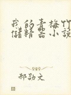 我的青梅竹马是储精器小说