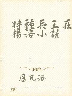 特种兵王在都市杨洛小说