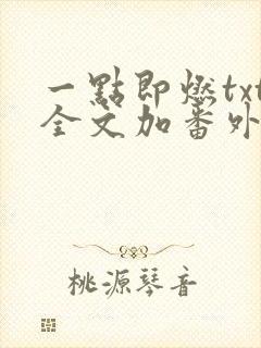 一点即燃txt全文加番外