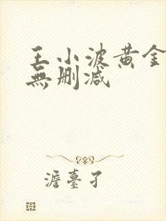 王小波黄金时代无删减