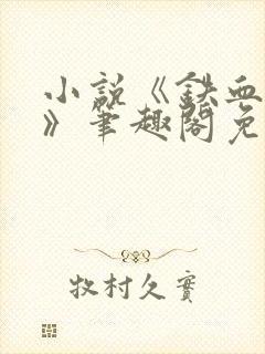 小说《铁血残明》笔趣阁免费阅读