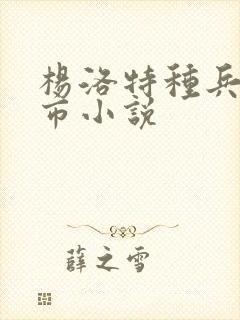 杨洛特种兵在都市小说