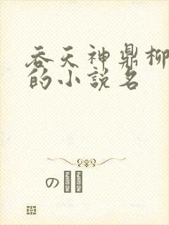 吞天神鼎柳无邪的小说名封面