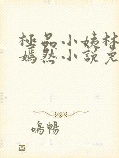 极品小姨林凡李嫣然小说免费阅读全文