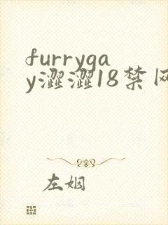 furrygay涩涩18禁网站封面