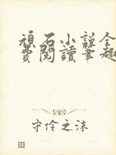 顽石小说全文免费阅读笔趣阁封面