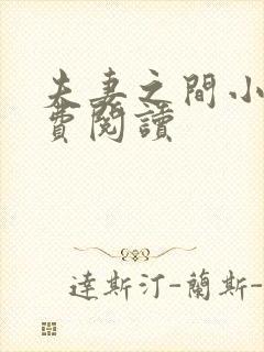 夫妻之间小说免费阅读封面