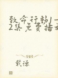 致命行动1—42集免费播放