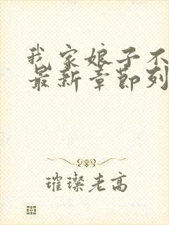 我家娘子不对劲最新章节列表免费封面