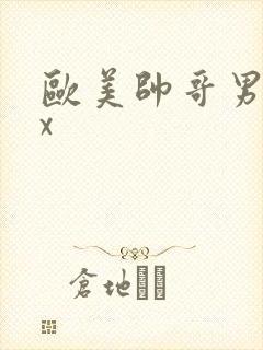 欧美帅哥男同xx封面