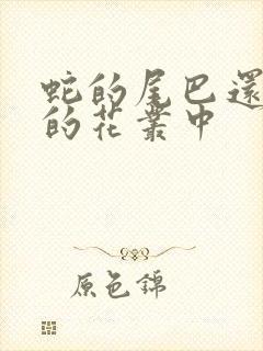 蛇的尾巴还在我的花丛中封面