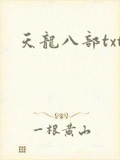 天龙八部txt