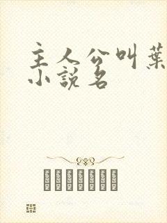 主人公叫叶昊的小说名