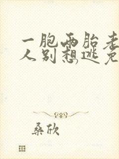 一胞两胎老婆大人别想逃免费阅读