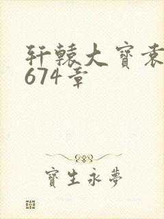 轩辕大宝袁雪妃674章