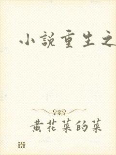 小说重生之官道封面