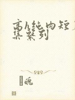 高h纯肉短篇合集系列