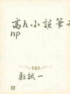 高h小说笔趣阁np