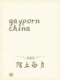 gaypornchina