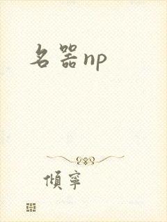 名器np封面