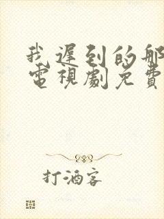 我迟到的那些年电视剧免费观看高清