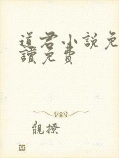 道君小说免费阅读免费