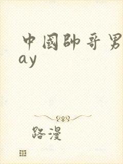 中国帅哥男同gay