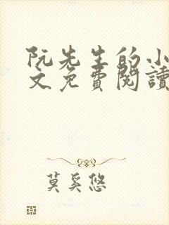 阮先生的小说全文免费阅读无弹窗