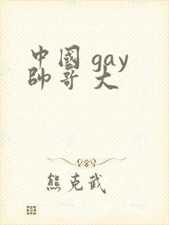 中国 gay 帅哥 大