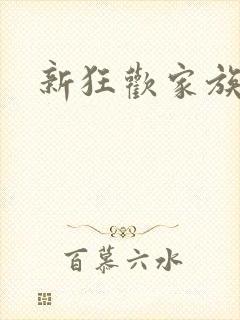 新狂欢家族小说