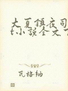 大夏镇夜司txt小说全文下载