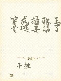 穿成摄政王的侍爱逃妻讲了什么封面