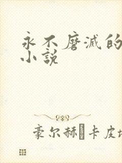 永不磨灭的番号小说封面