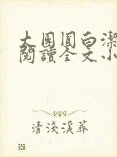 大团圆白洁免费阅读全文小说封面
