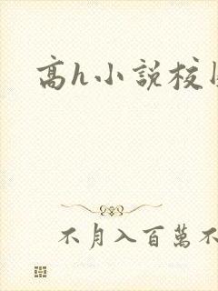 高h小说校园