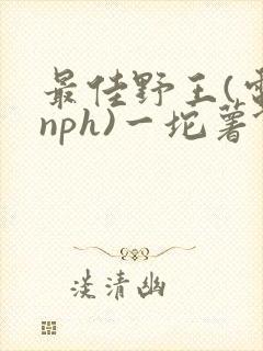 最佳野王(电竞nph)一坨薯饼封面