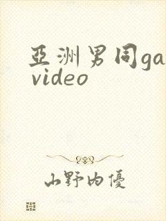 亚洲男同gay video