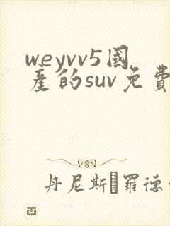 weyvv5国产的suv免费