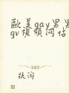 欧美gay男男gv视频网站
