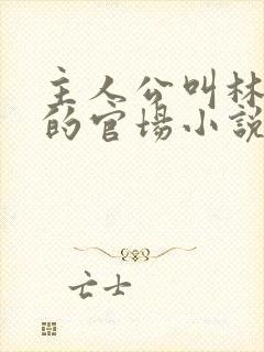 主人公叫林飞扬的官场小说字