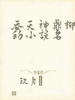 吞天神鼎柳无邪的小说名
