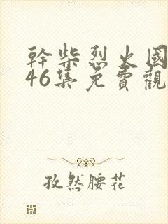 干柴烈火国语版46集免费观看高清