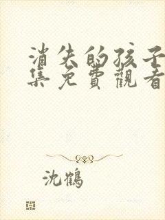 消失的孩子12集免费观看