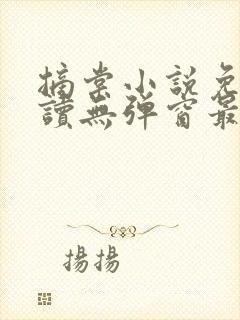 摘棠小说免费阅读无弹窗最新章节