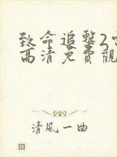 致命追击2电影高清免费观看国语封面