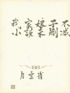 我家娘子不对劲小说未删减版