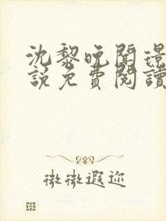 沈黎晚闻璟川小说免费阅读最新章节