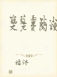 窃蓝番外小说全文免费阅读